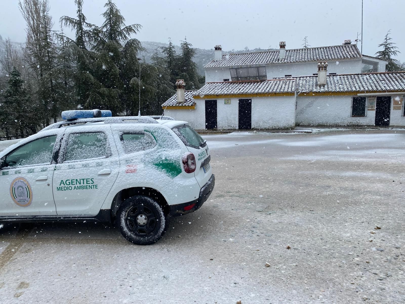 El Parque Nacional Sierra de las Nieves se viste de blanco, en imágenes