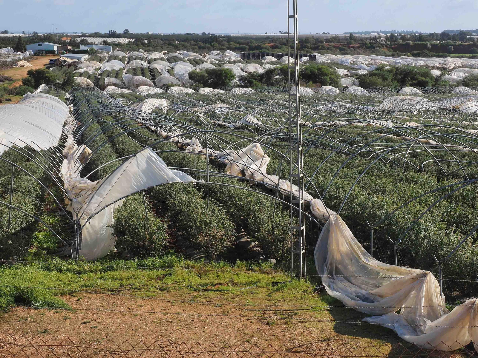 Imágenes de los daños causados por la violenta manga de viento en la provincia de Huelva