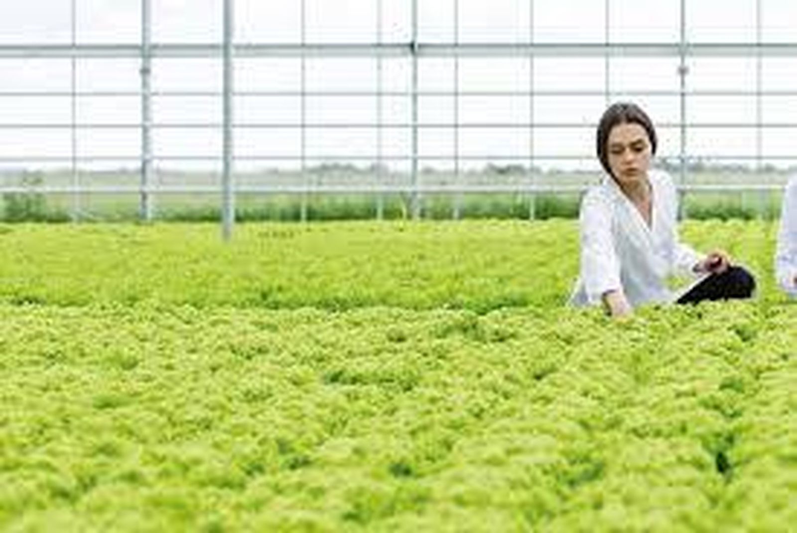 La ciencia aplicada es fundamental hoy por hoy en el sector agrícola.