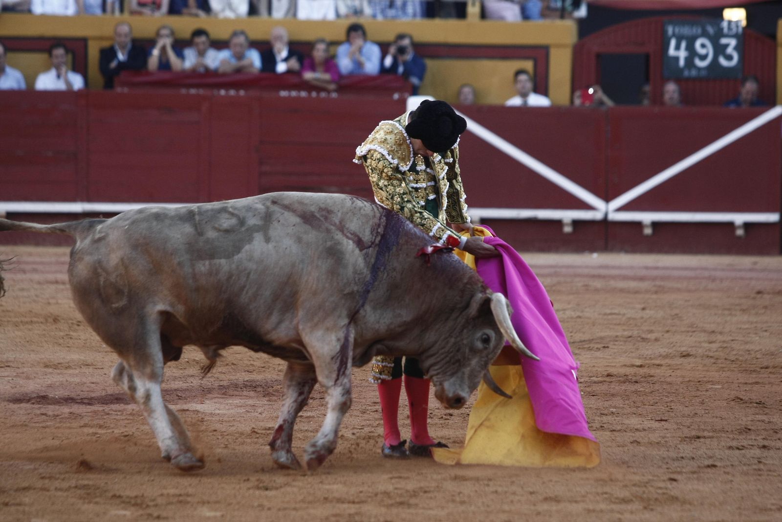 Alejandro Talavante, en la Feria Real de Algeciras de 2013