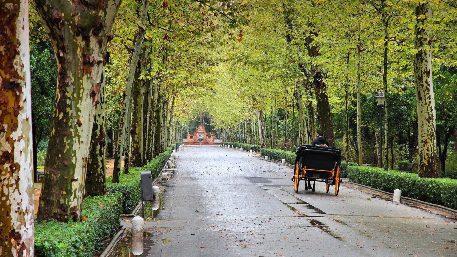 Los 20 lugares que hay que visitar para conocer Sevilla: El parque de María Luisa