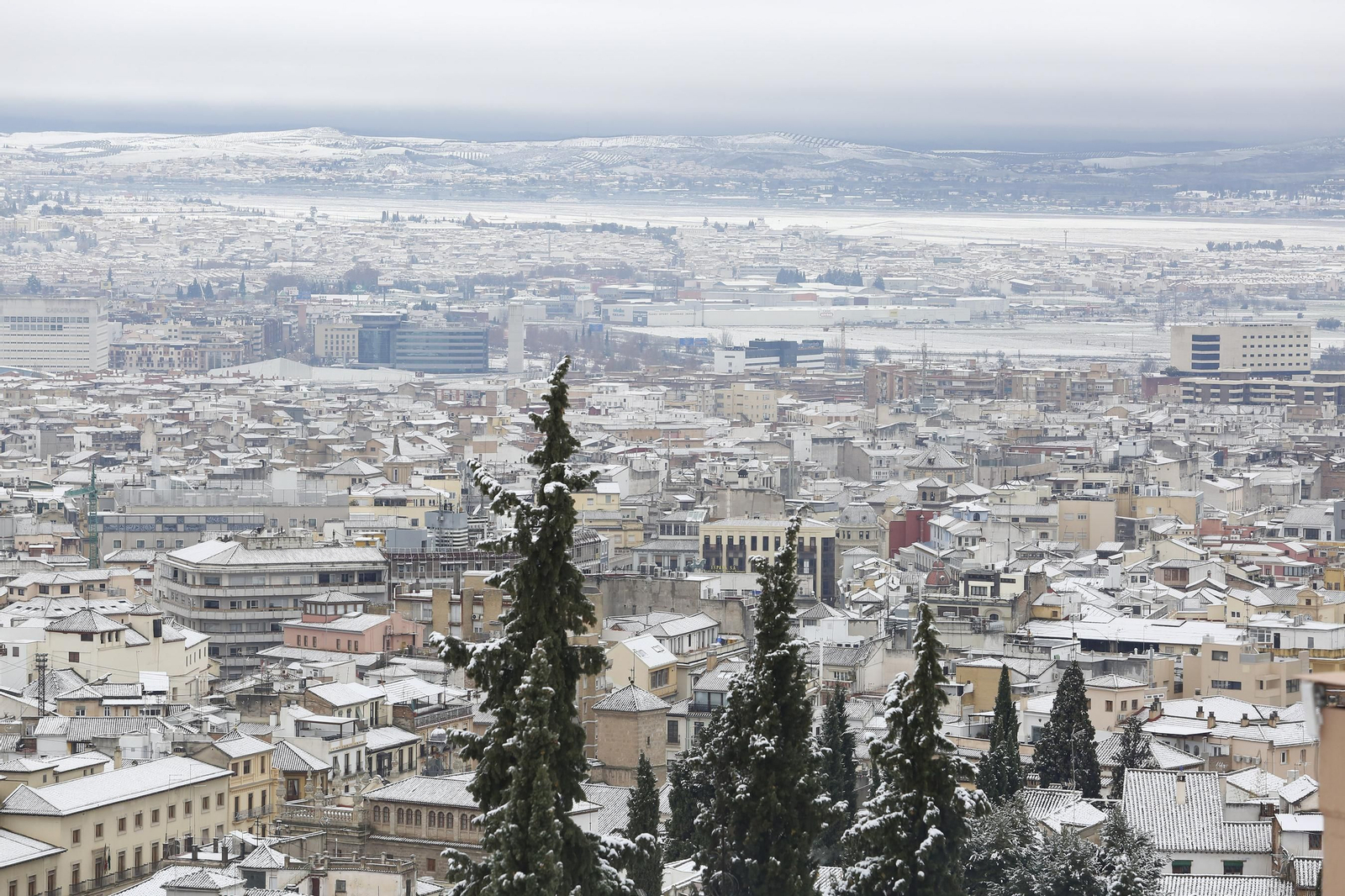 La nevada de Granada, en imágenes