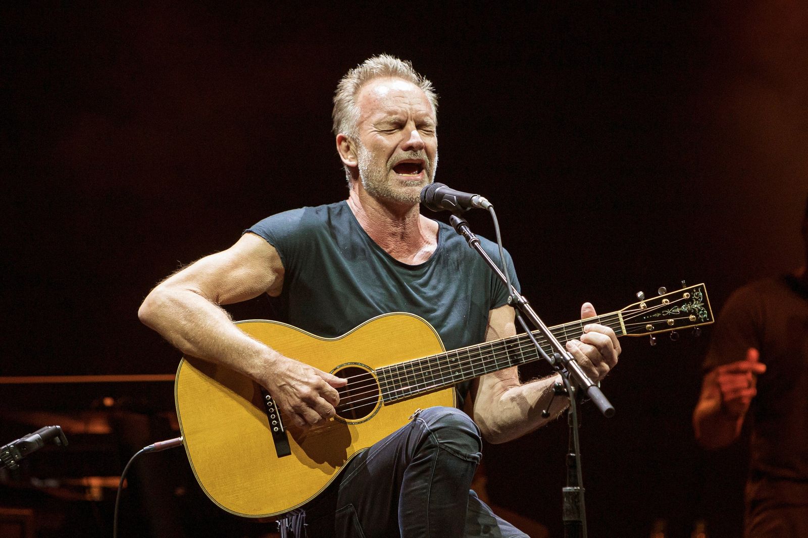 El artista británico Sting, plato fuerte del Concert Music Festival 2022.