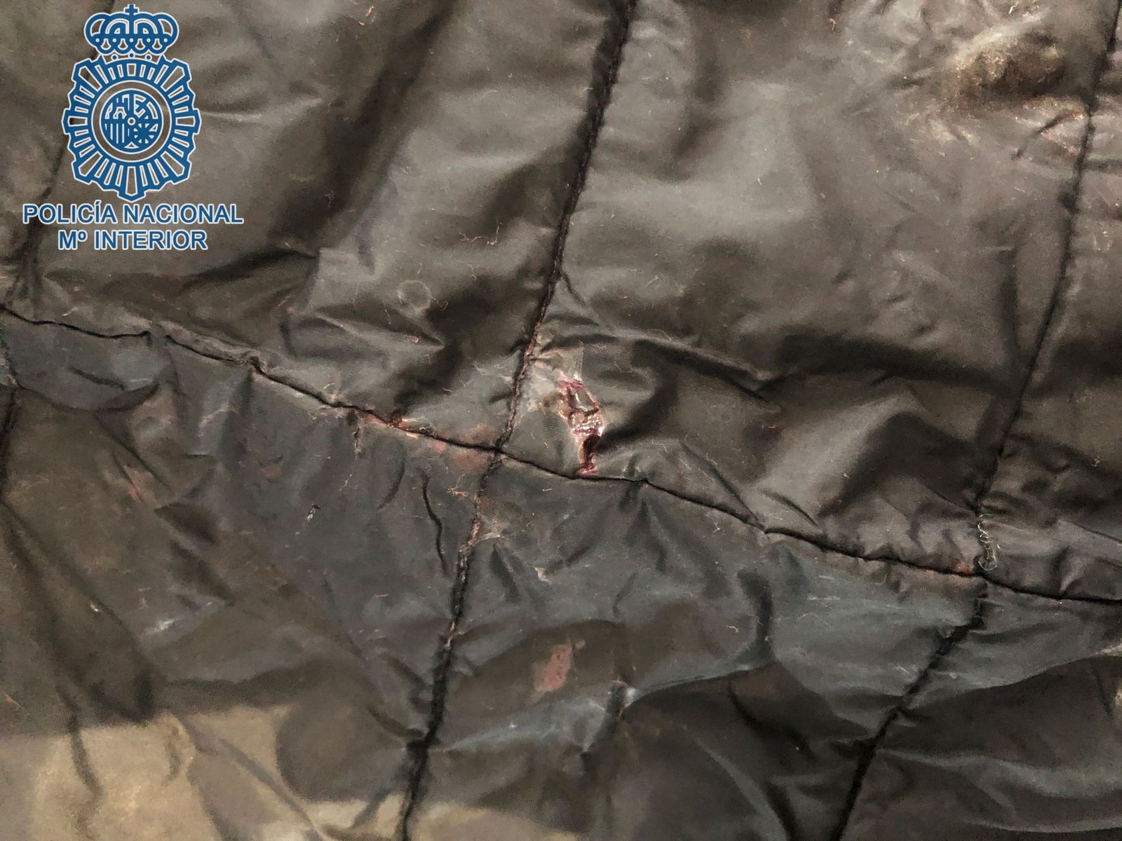 Detalle del abrigo de la víctima, que amortiguó las cuchilladas.