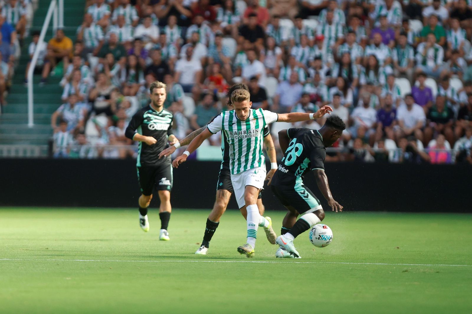 Las fotos del Córdoba - Betis