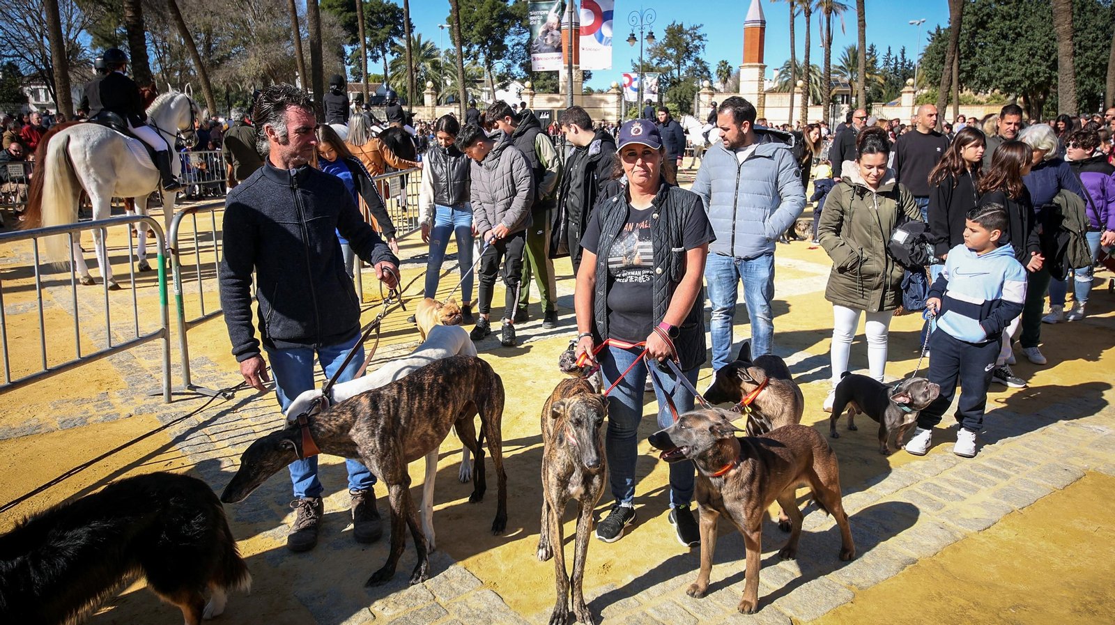 Búscate en San Antón de Jerez