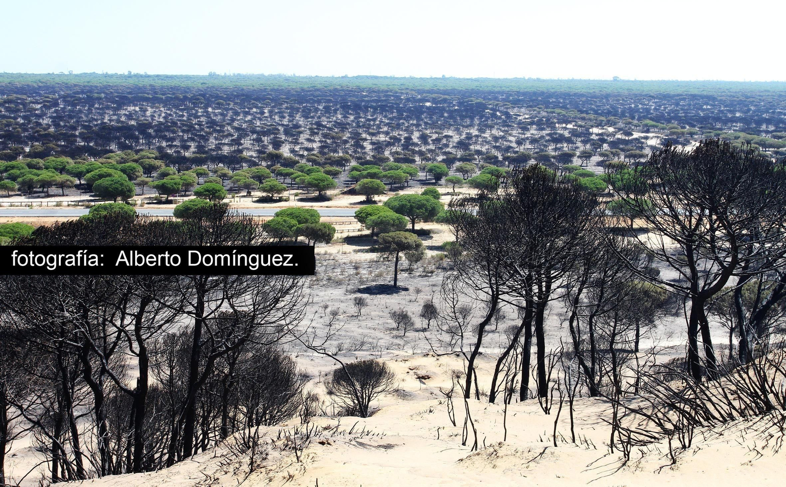Imágenes de Cuesta Maneli tras el incendio.