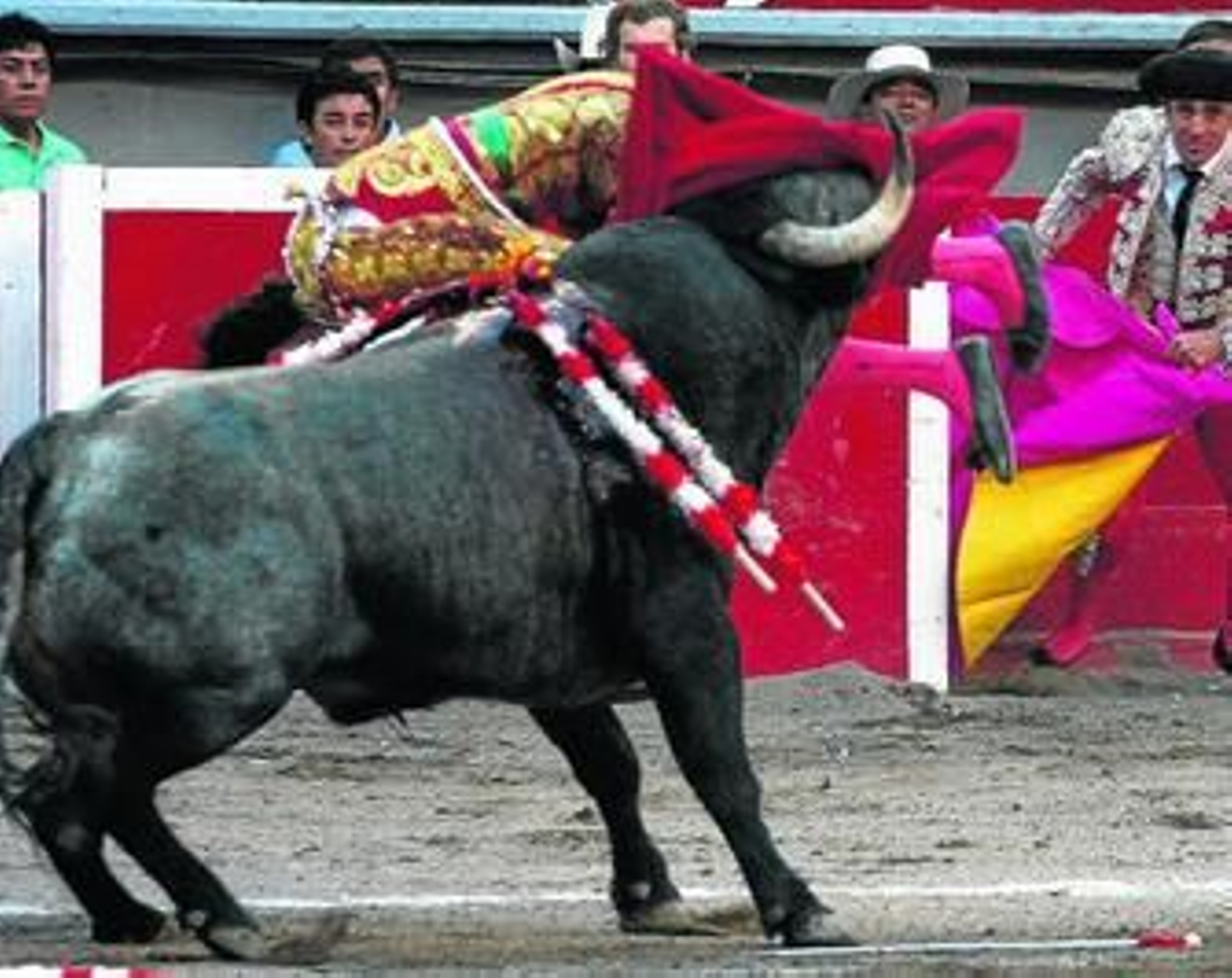José Tomás, al borde de la tragedia tras una grave cornada
