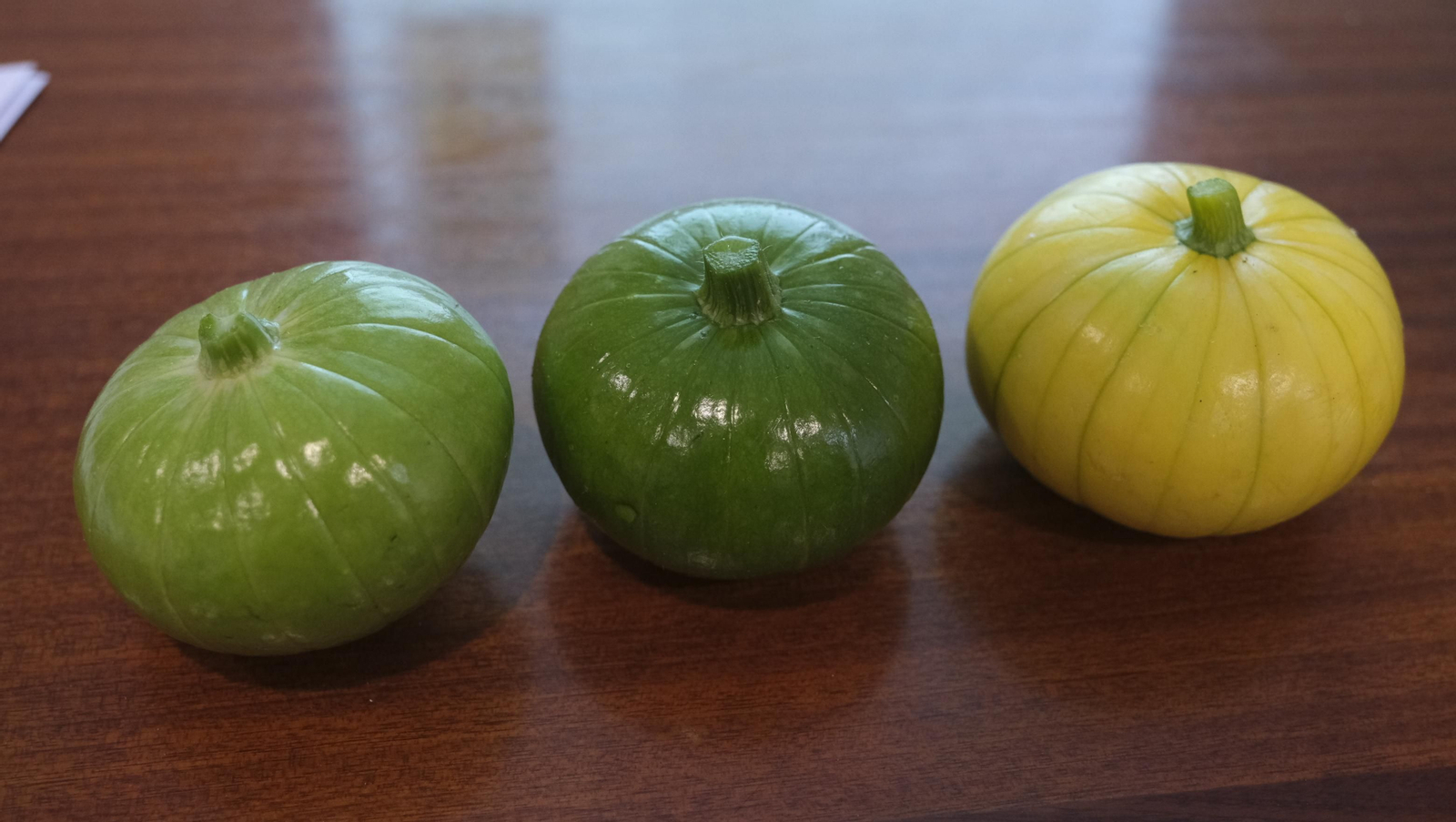 Presentación del nuevo producto de Beyond Seeds, Zucchielo, en el IFAPA de La Mojonera