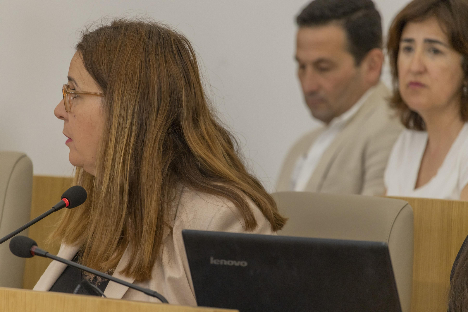 Imágenes del pleno celebrado en la Diputación