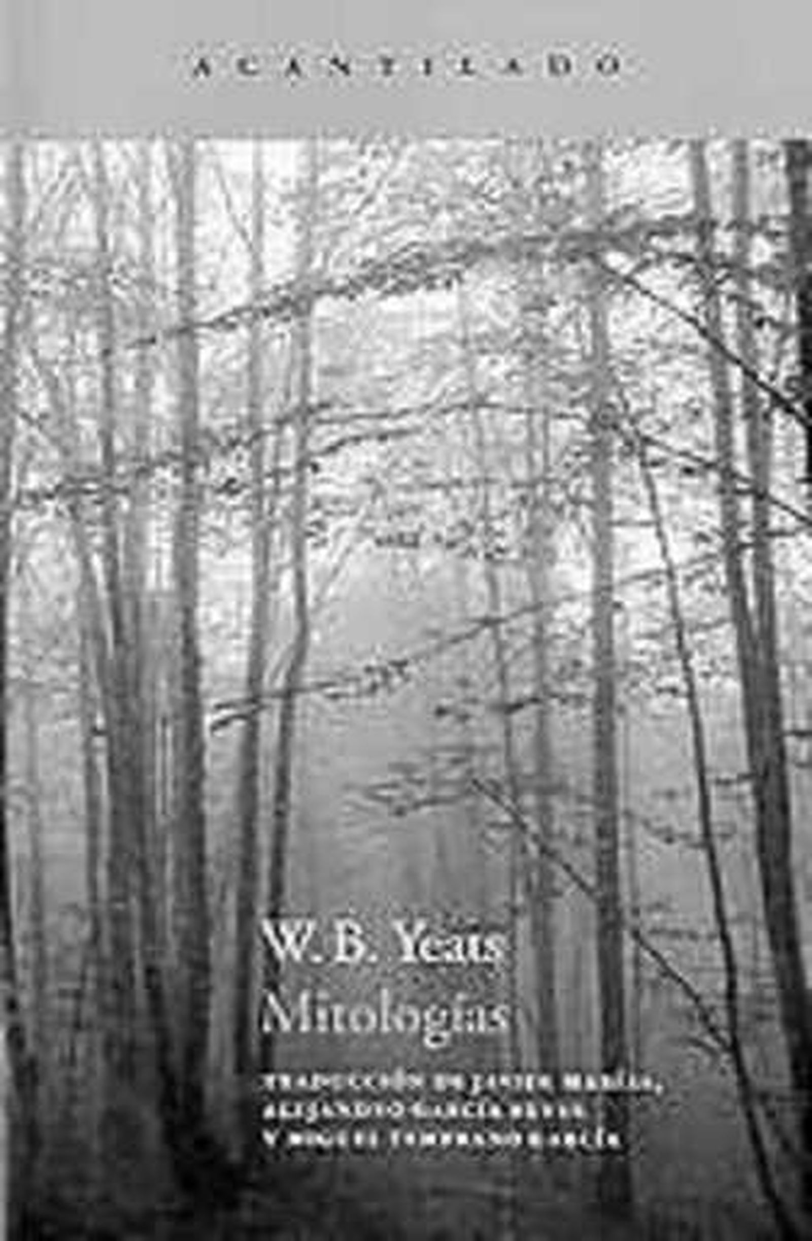 Bosques y brumas de la bella Irlanda