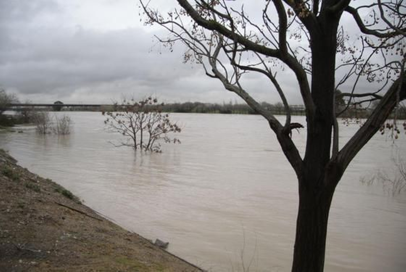 El río alcanza grandes niveles en San Juan de Aznalfarache.

Foto: Victoria Hidalgo