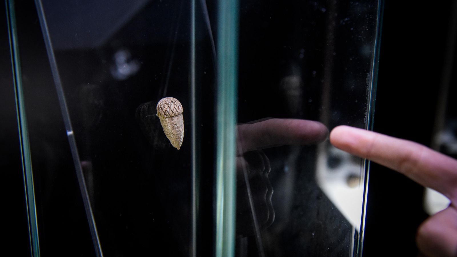 Ídolo con forma de bellota en la Colección Museográfica de Gilena.