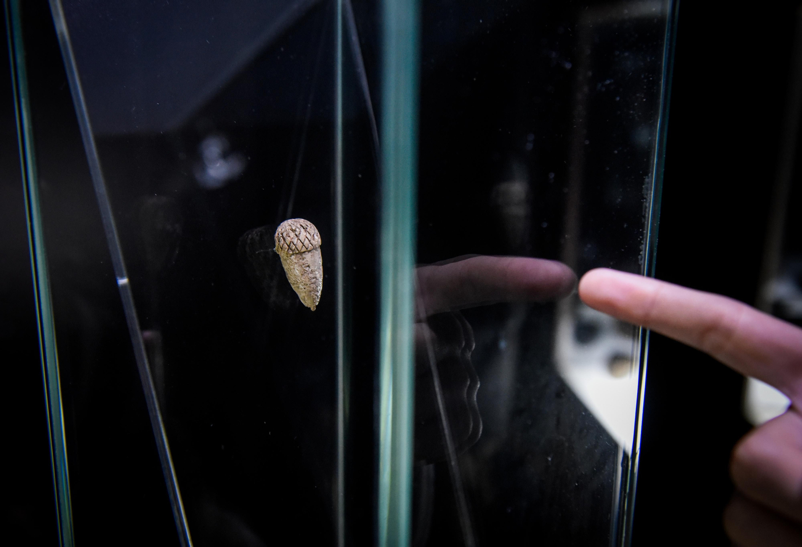 Cueva artificial calcolítica la Antoniana, en Gilena