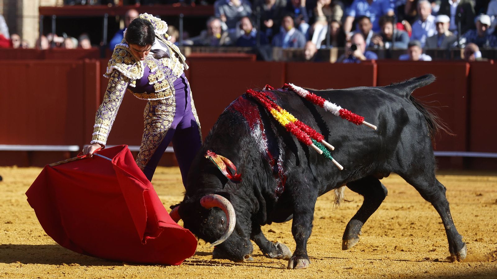 Miguel Ángel Perera torea con la muleta en la tarde de la cuarta del abono.
