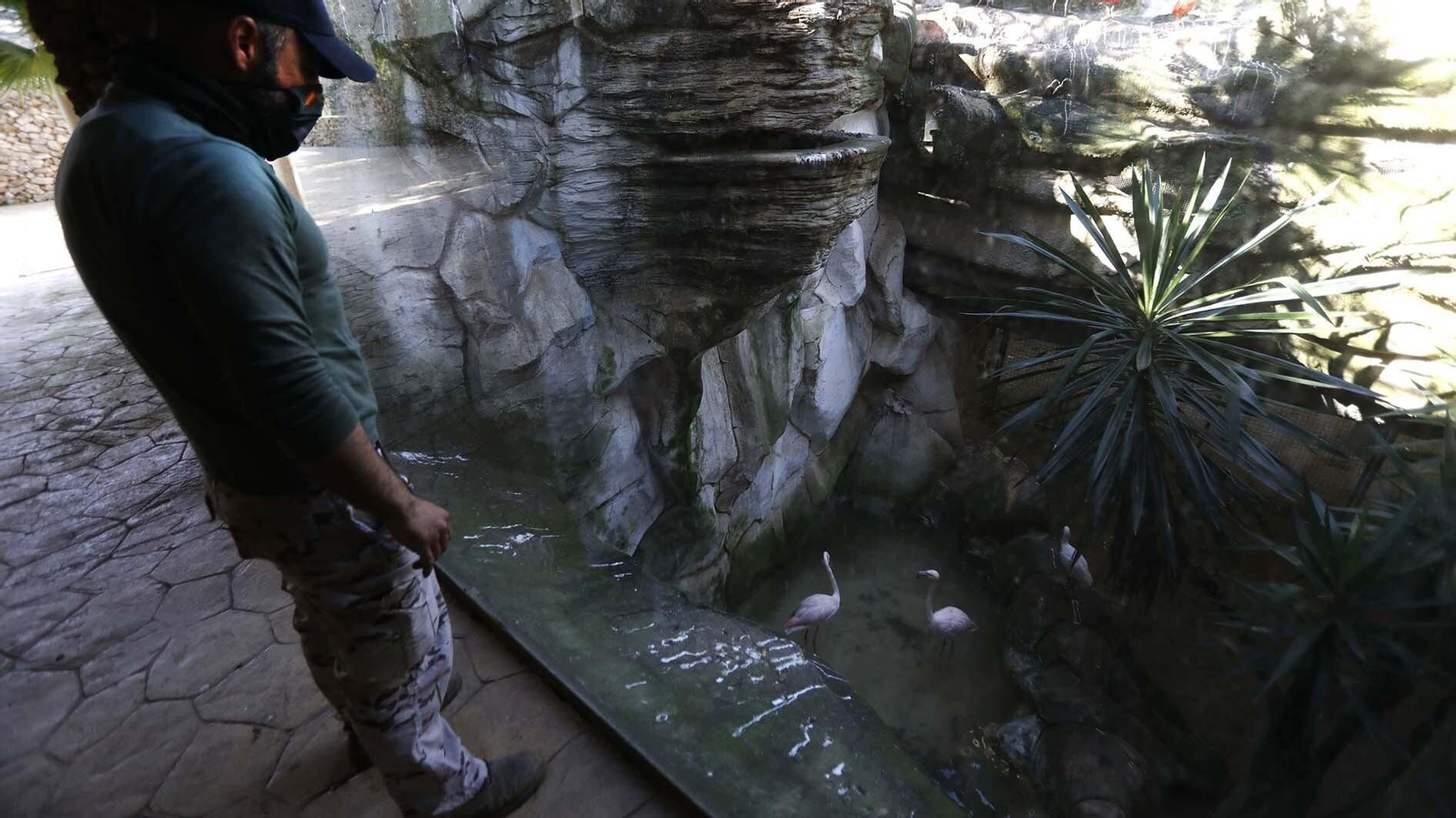 Las fotos del Zoo de Castellar de la Frontera