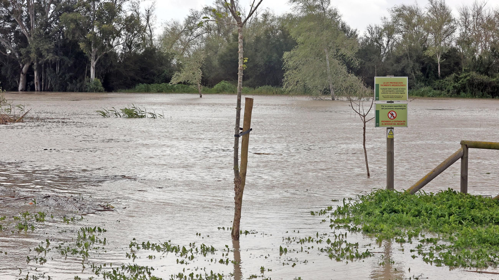 Operativo por el desbordamiento del río Guadalete