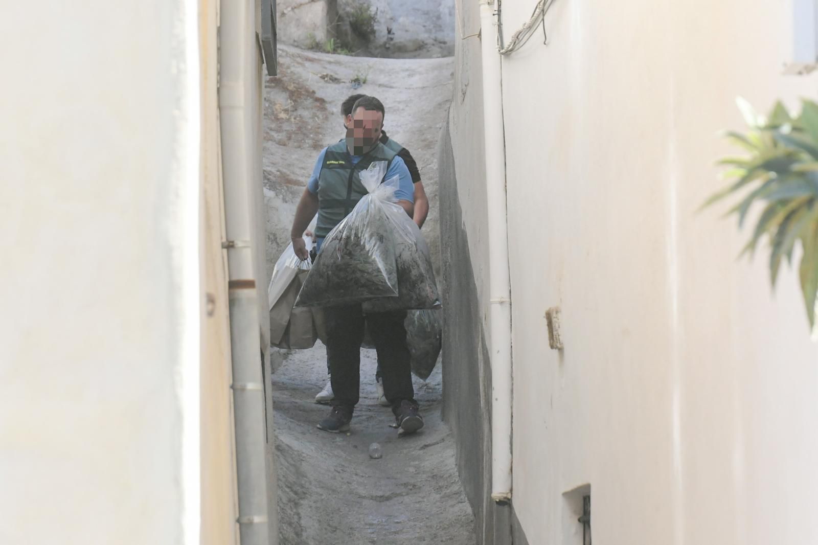 Fotos: así ha sido la operación contra el tráfico de marihuana en Pinos Puente