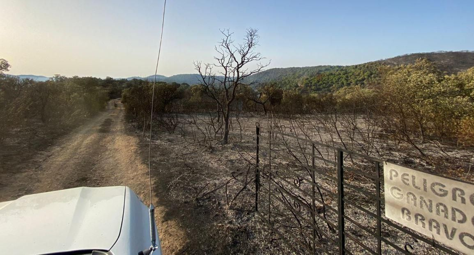 Daños provocados por el fuego en Villaharta. Daños provocados por el fuego en Villaharta.