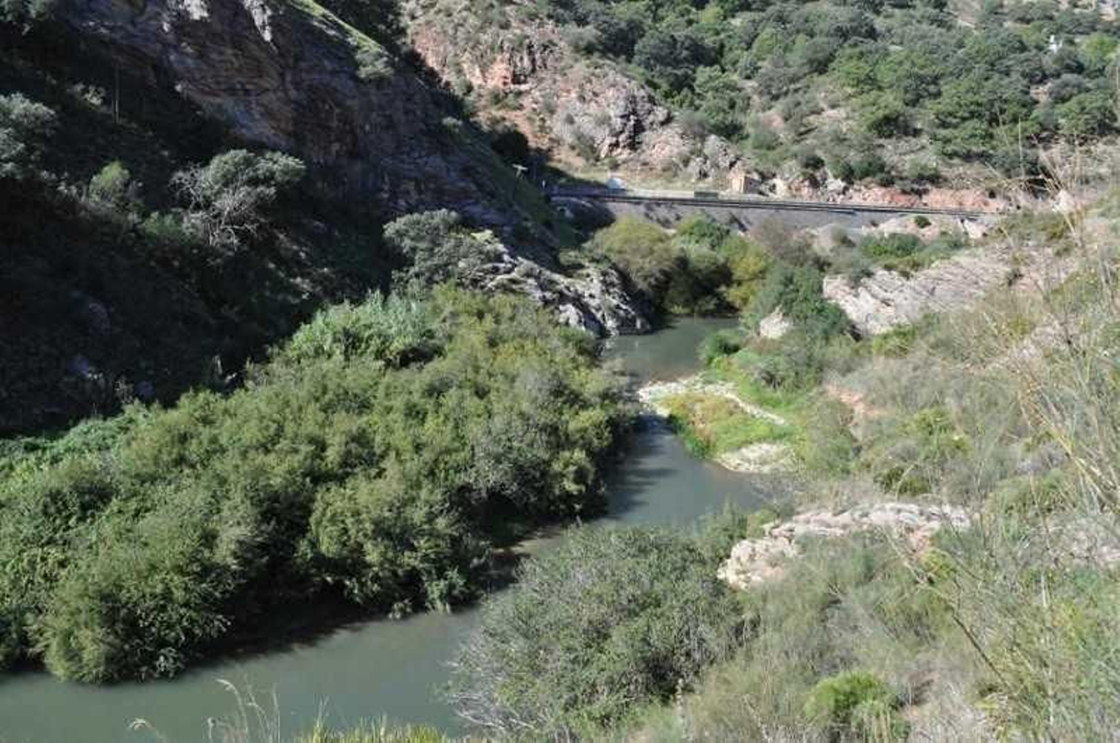 Cauce del río Guadiaro. Cauce del río Guadiaro.