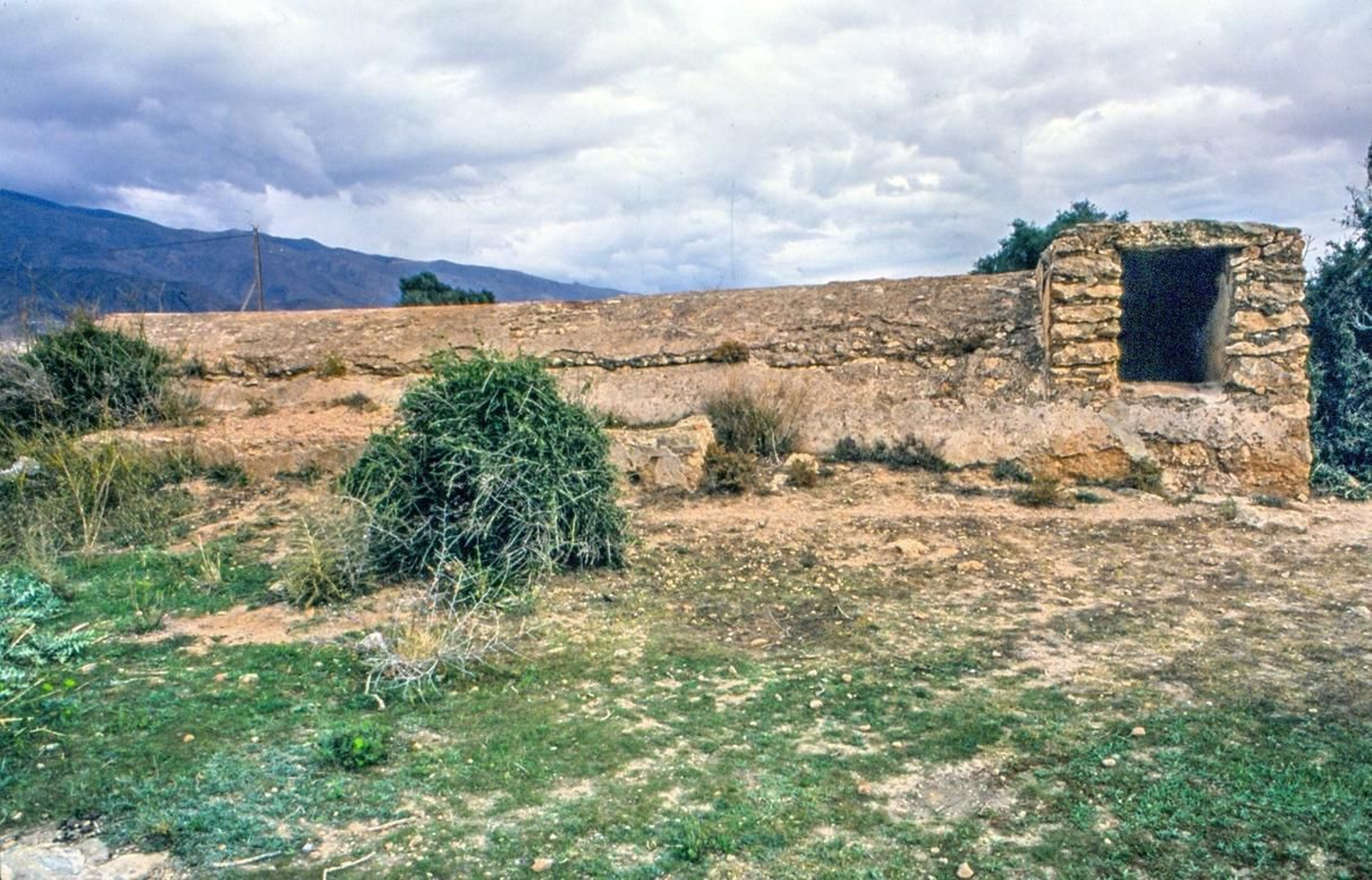 Campo de Dalías/El Ejido