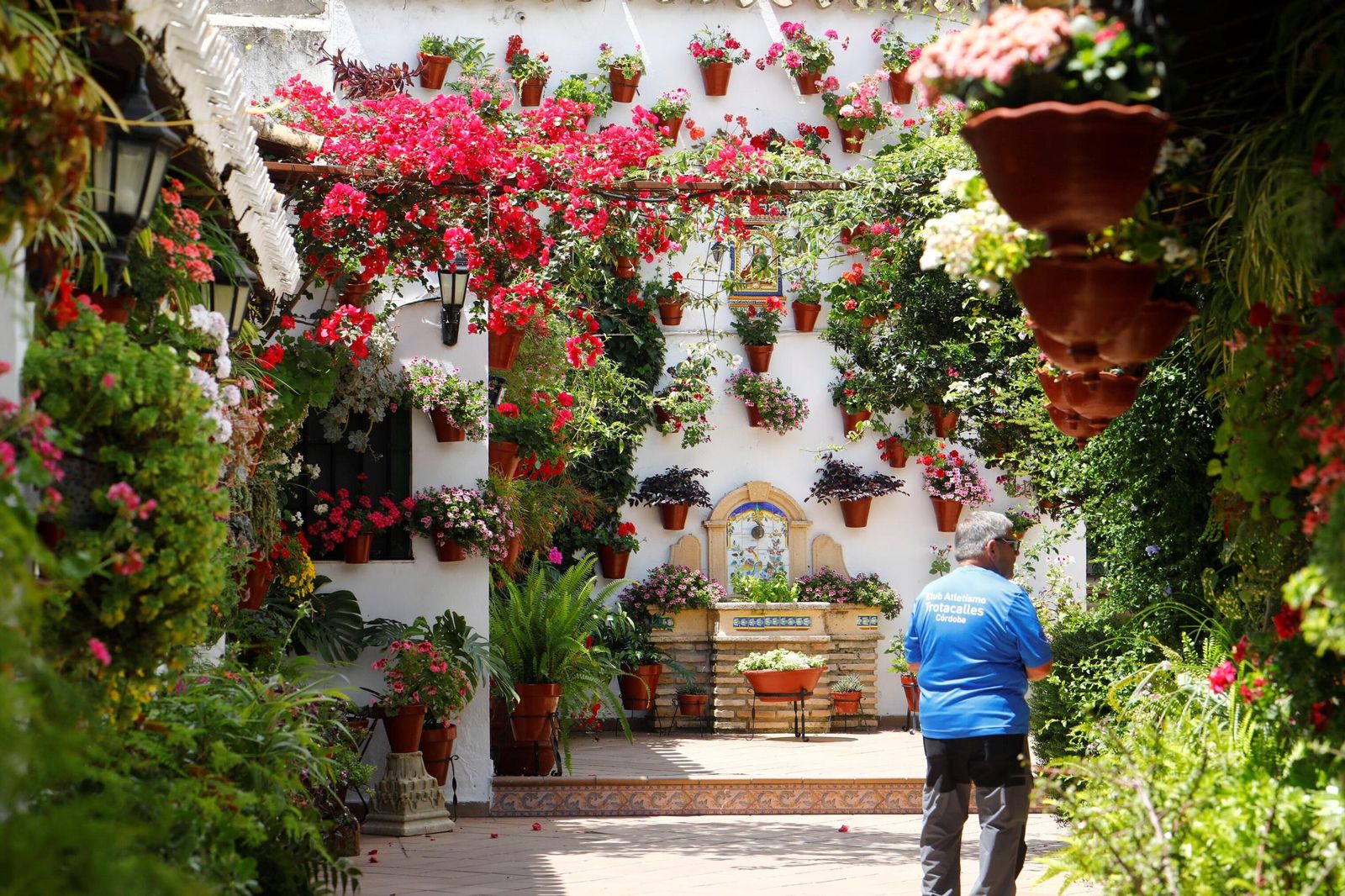 Un recorrido en imágenes por los patios de la ruta Regina-Realejo