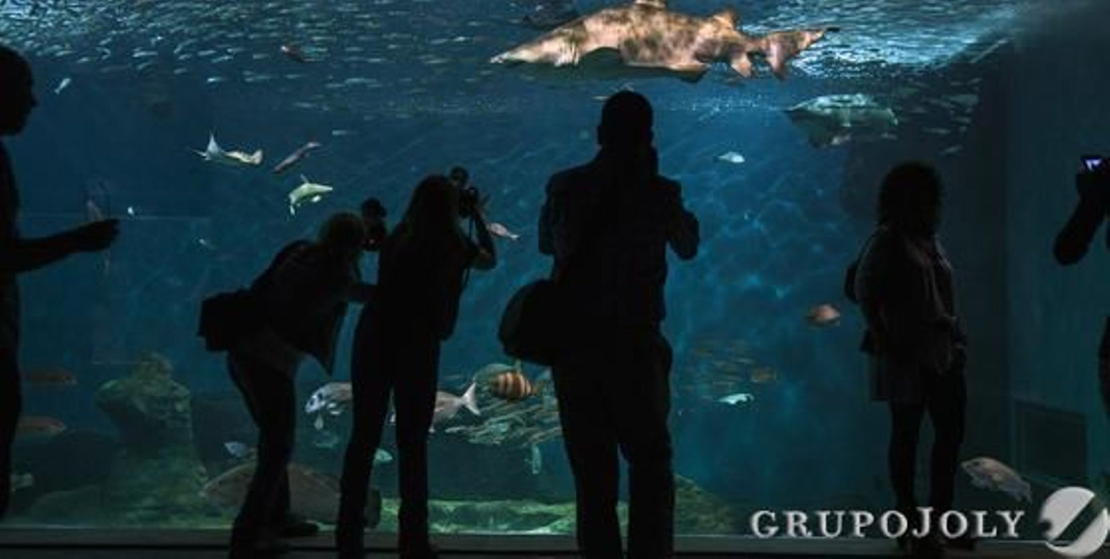 Foto: Antonio Pizarro