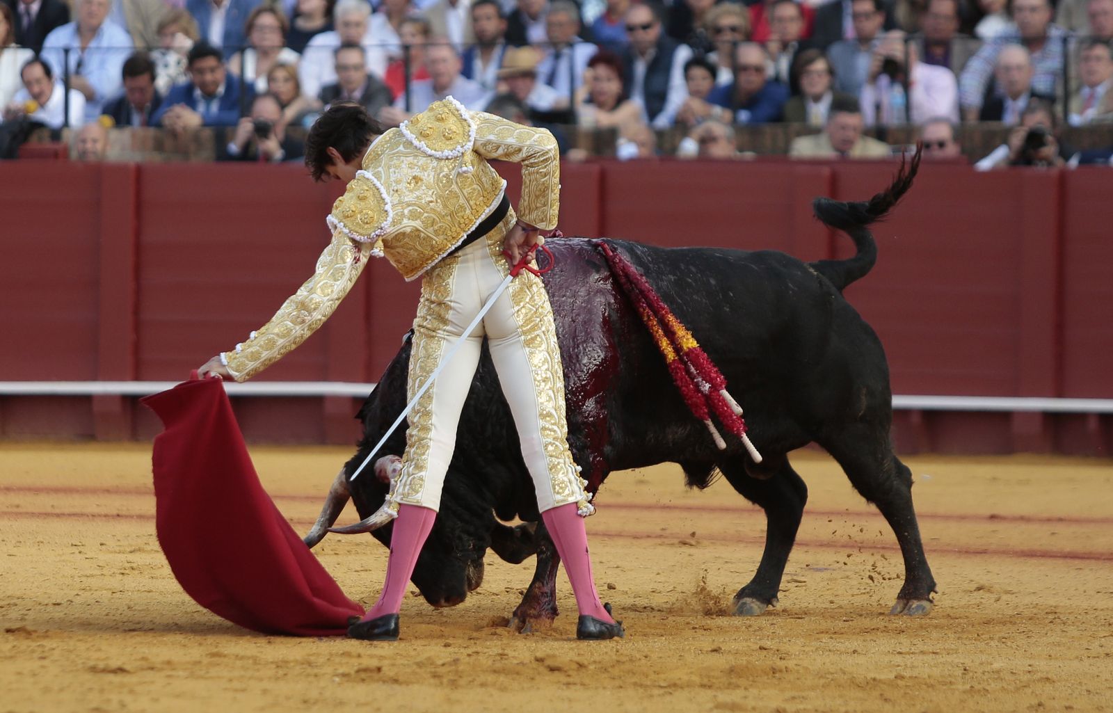 Las imágenes de la undécima de abono de la Maestranza