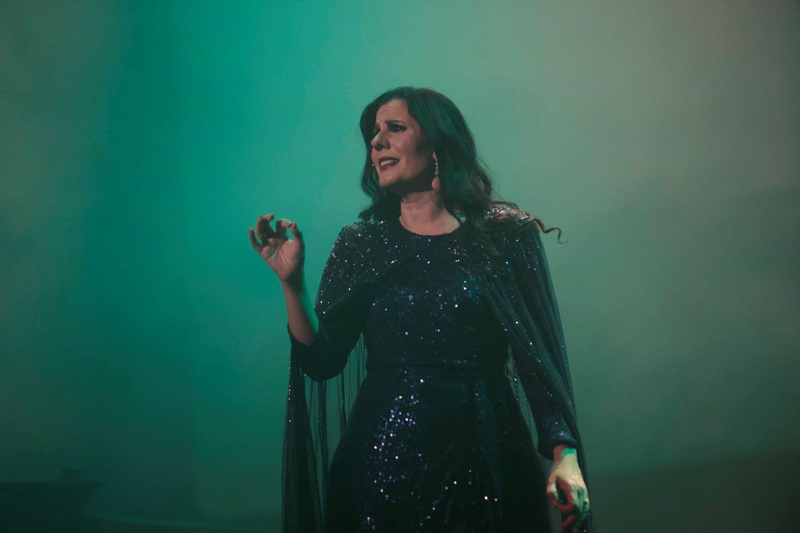 Diana Navarro, en concierto.