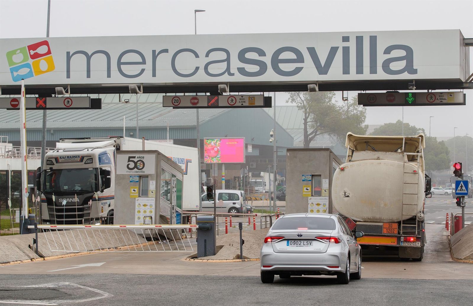Entrada de vehículos pesados en Mercasevilla en la primera jornada de huelga convocada por la Plataforma Nacional en Defensa del Sector del Transporte.