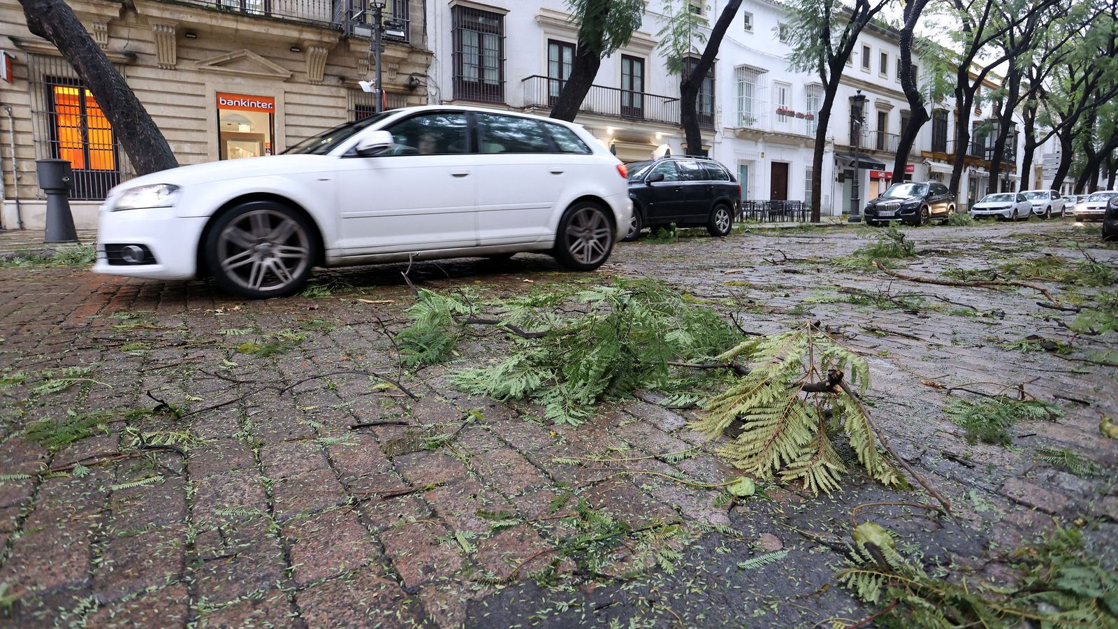 Imágenes del paso de la borrasca Kristin por el centro de Jerez