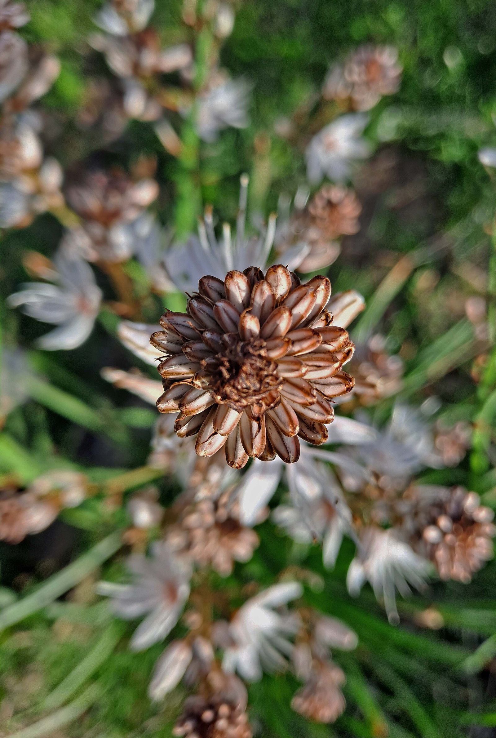 Fotos del sendero de la Garganta de Marchenilla en Algeciras