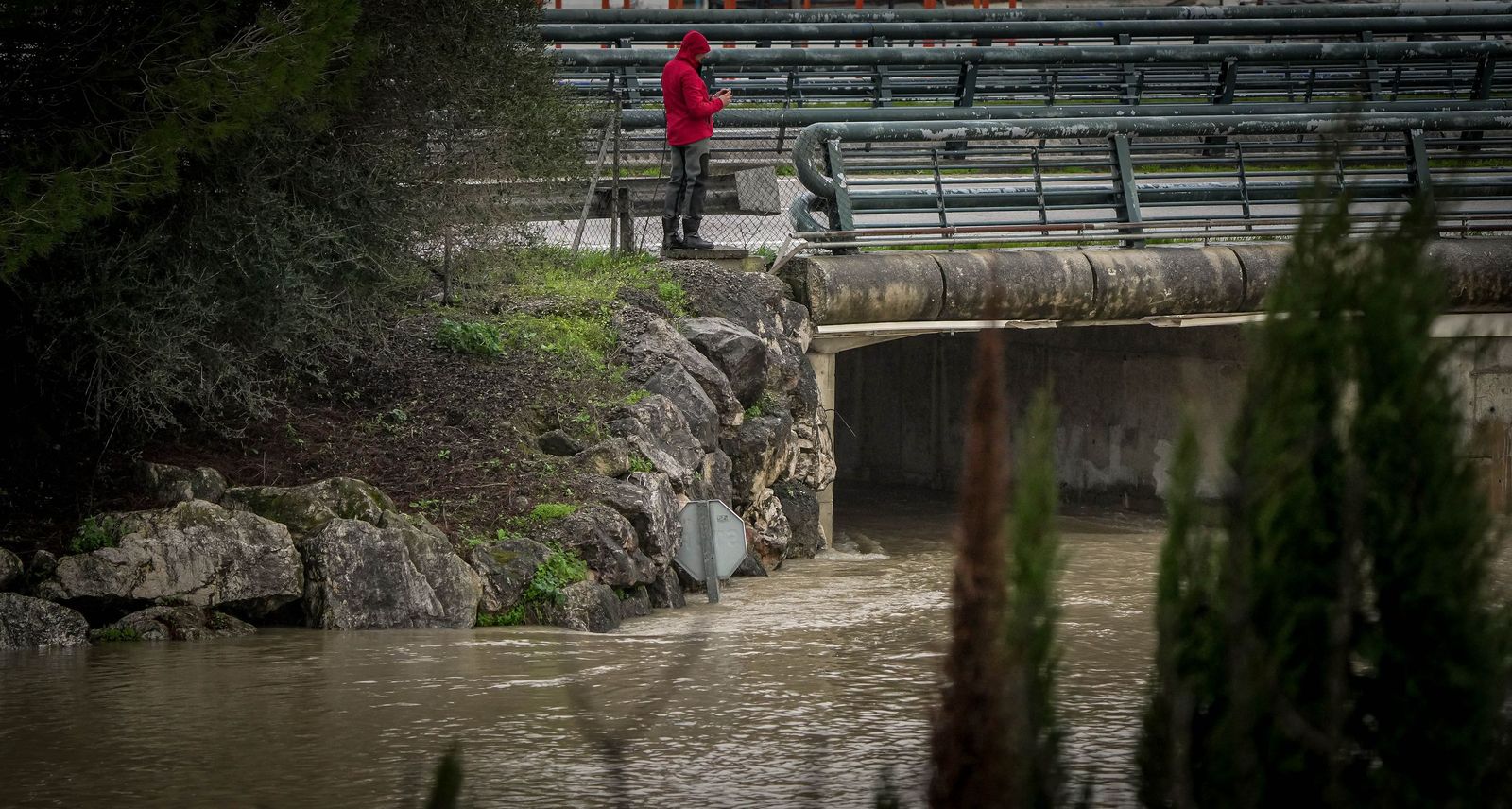 Imágenes de las graves consecuencias de la crecida del rio Guadalete en la zona rural de Jerez
