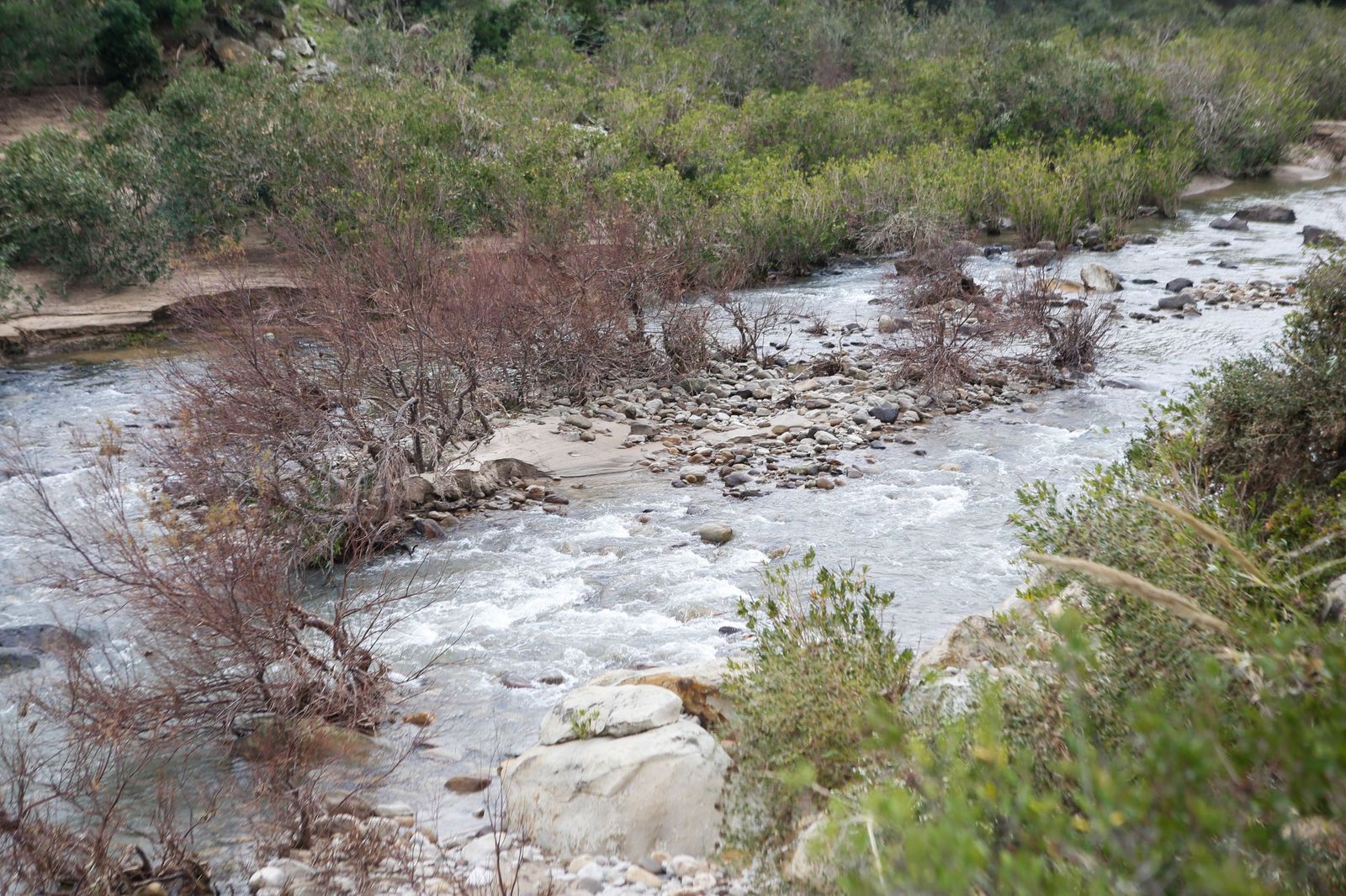 Fotos de las consecuencias de la borrasca Francis en Tesorillo y Jimena