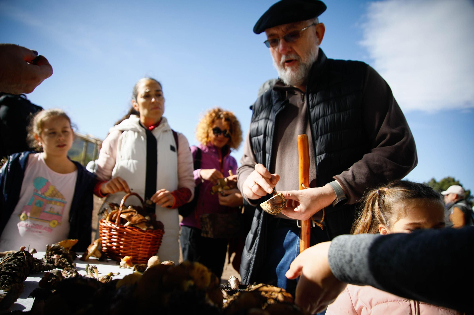 La ruta recolectora de setas en Abla por las XIX Jornadas Micológicas, en imágenes