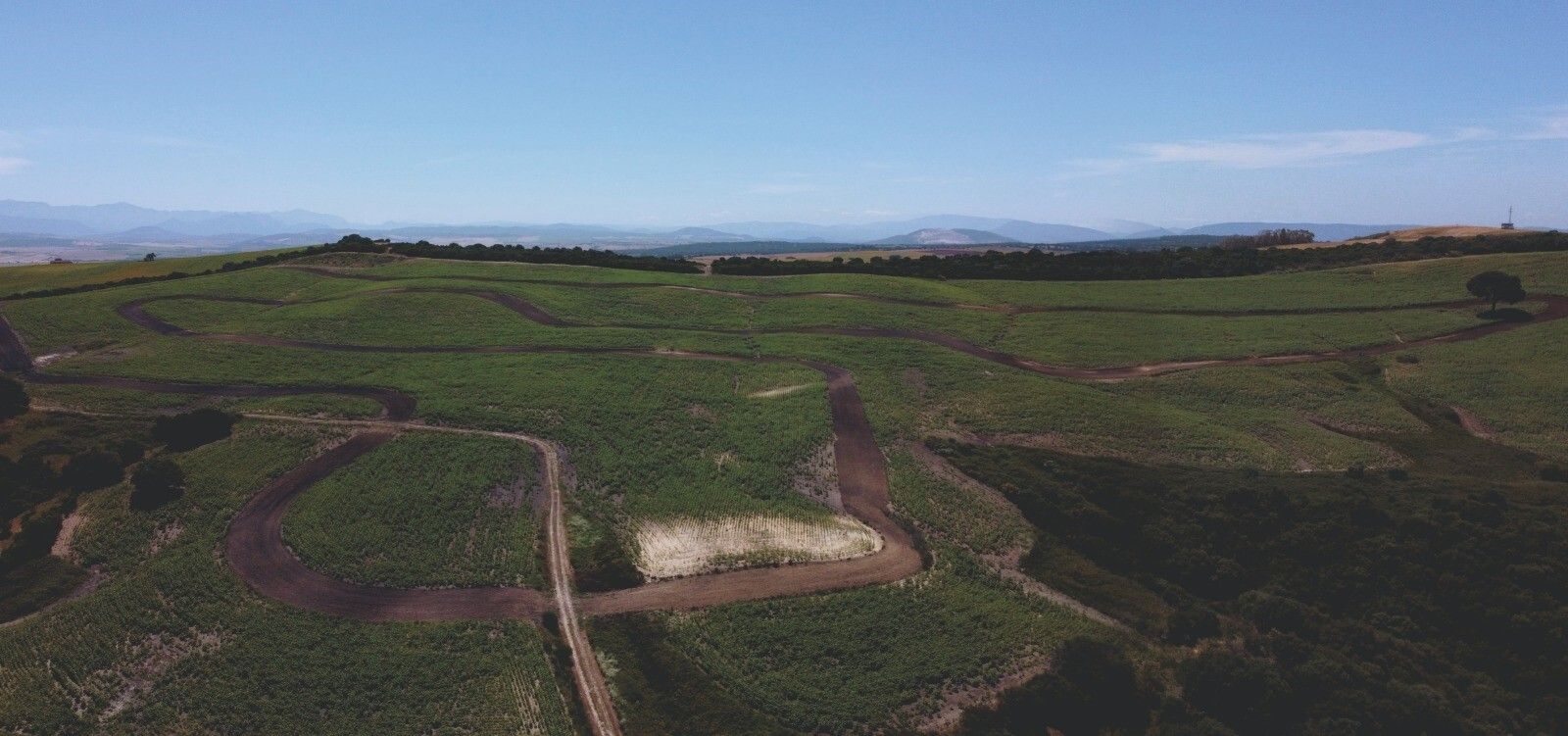 Ama Natura ha denunciado ante el juzgado y el Seprona movimientos de tierra en la finca.
