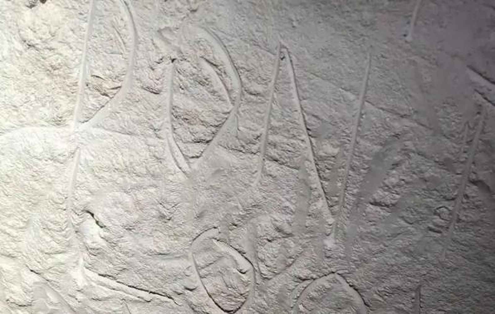 Varios vándalos destruyen arte aborigen de 30.000 años de antigüedad en Australia