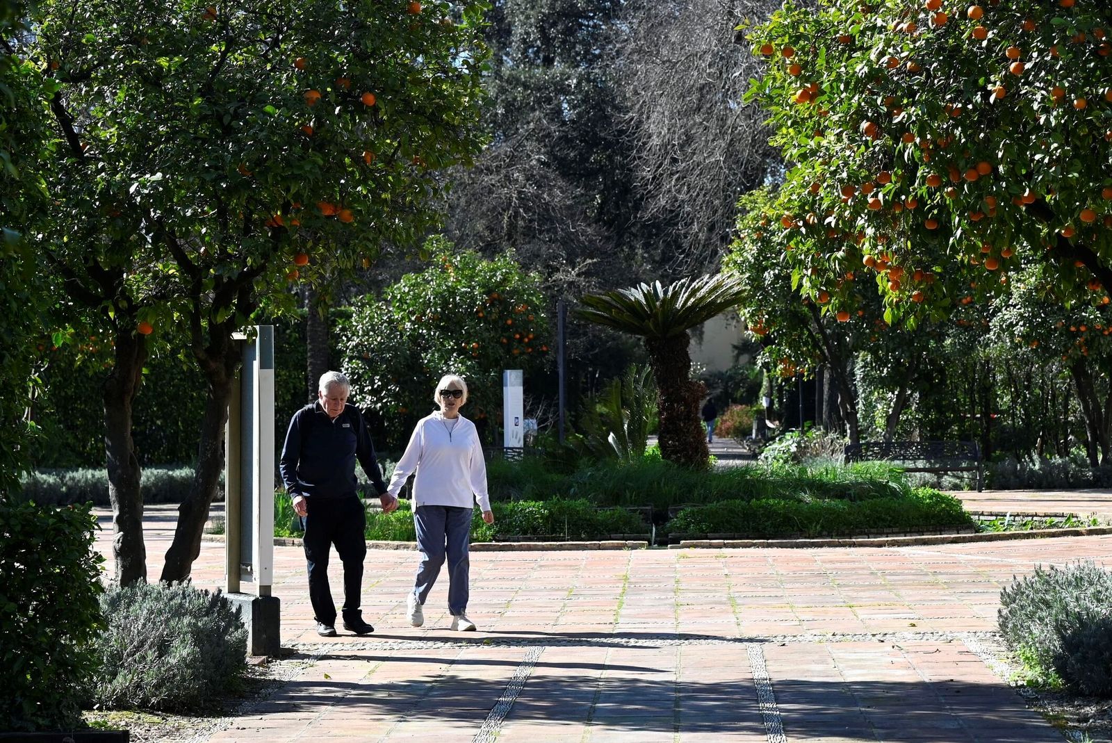 El Jardín Botánico de Córdoba reabre sus puertas tras subsanar los daños por el temporal