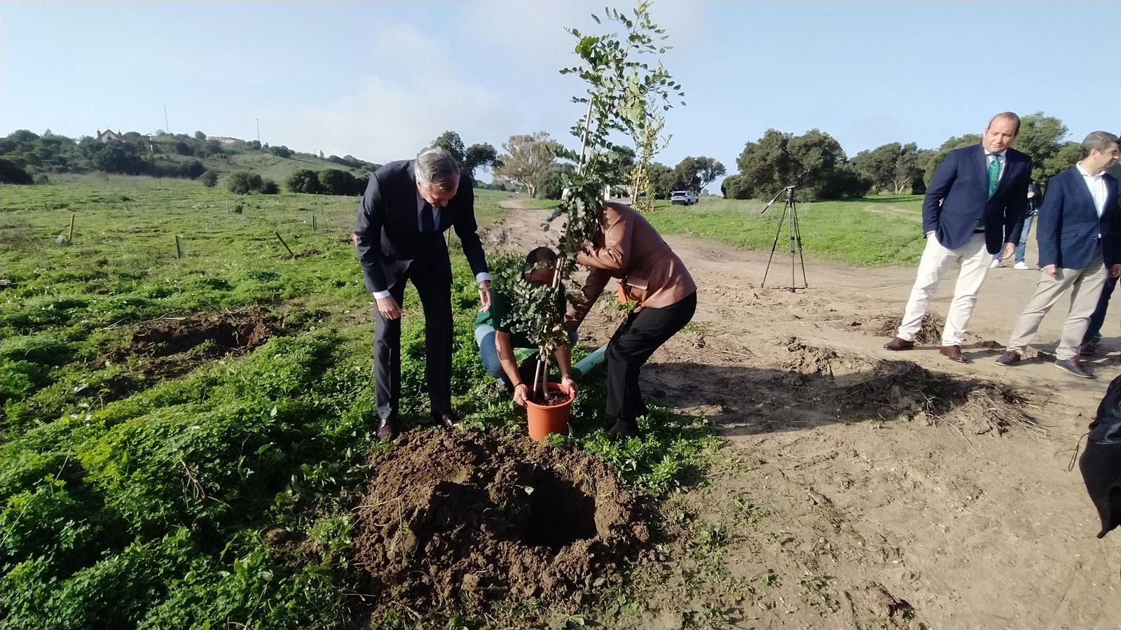 Simbólica plantación de uno de los primeros algarrobos del Bosque Navantia en San Fernando.