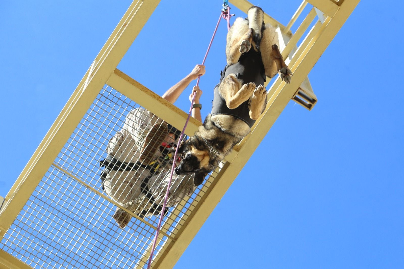 Ejercicio de Adiestramiento 2021 de Unidades Caninas en el TEAR.