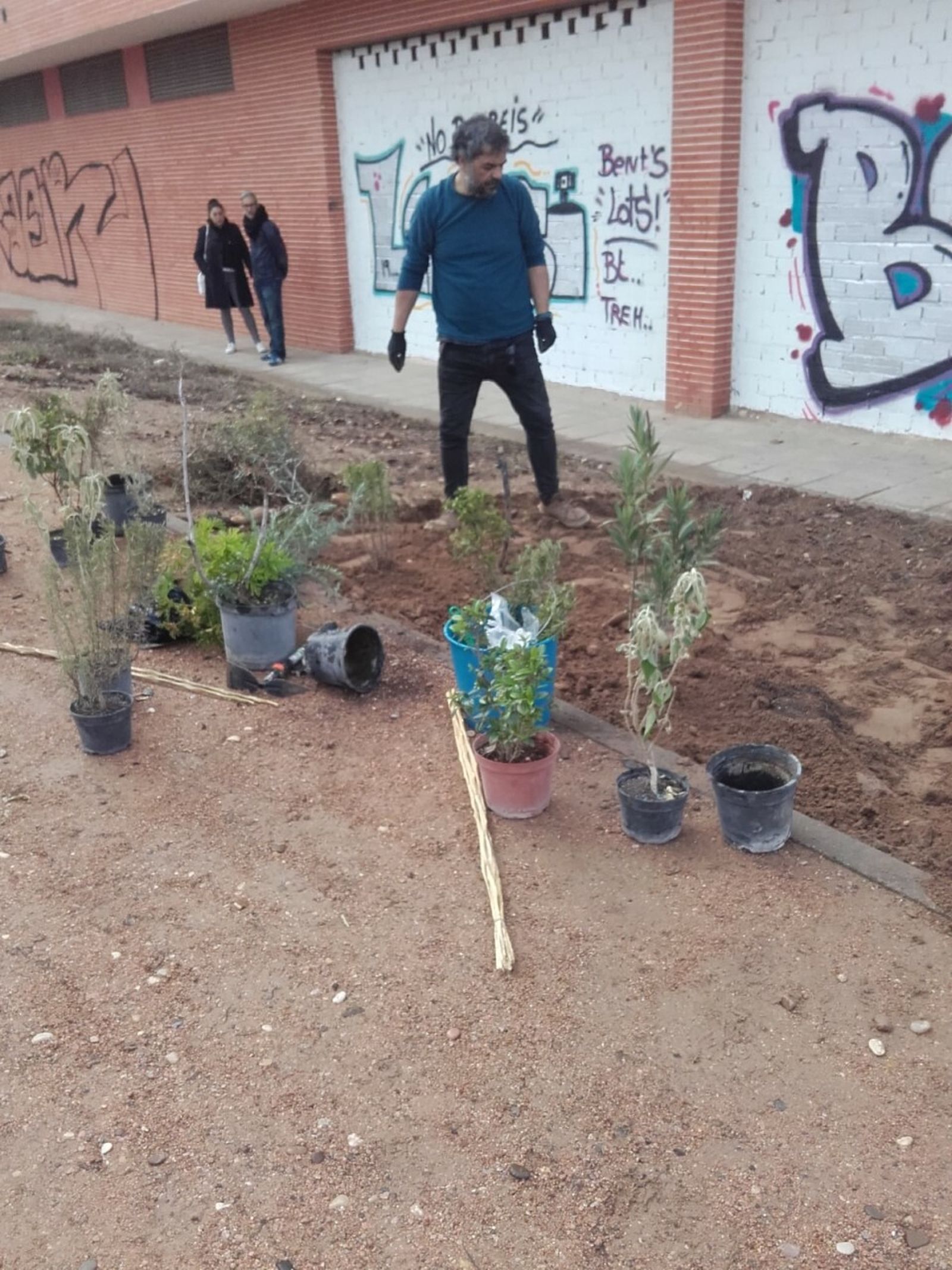 Un vecino siembra plantas en uno de los parterres del paseo de San Julián, en el Campo de la Verdad.