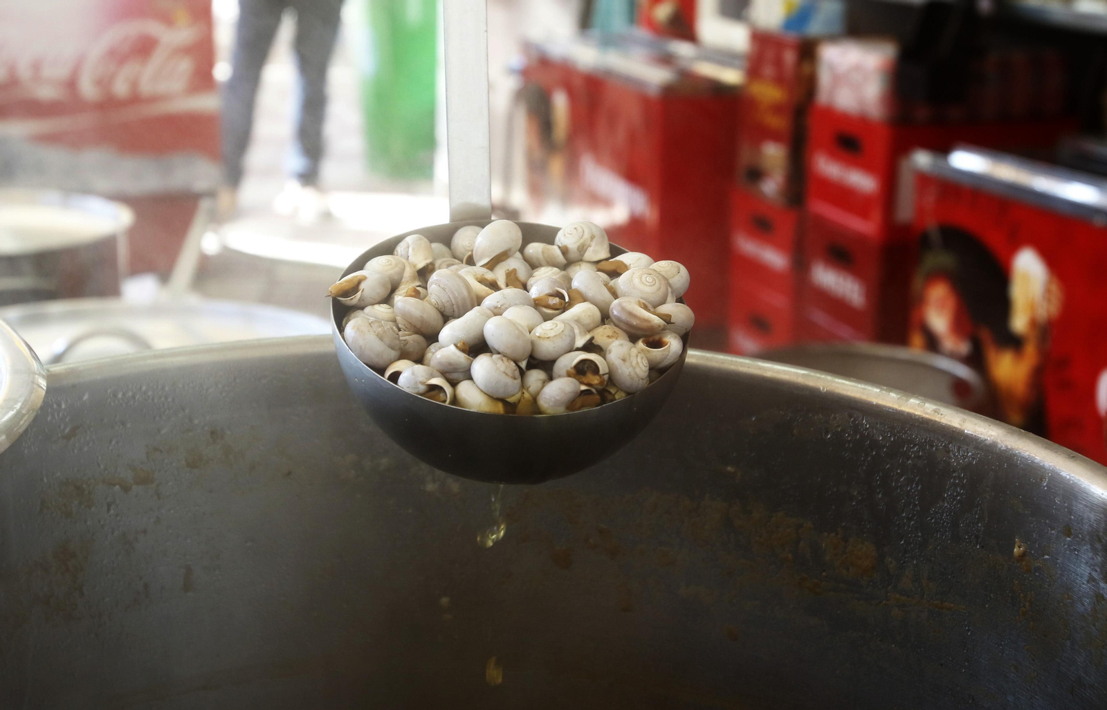 Fotografías: La temporada de caracoles arranca en Córdoba