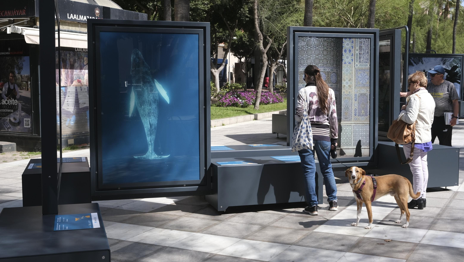 Imágenes de la exposición fotográfica 'Los Colores del Mundo', de la Fundación La Caixa