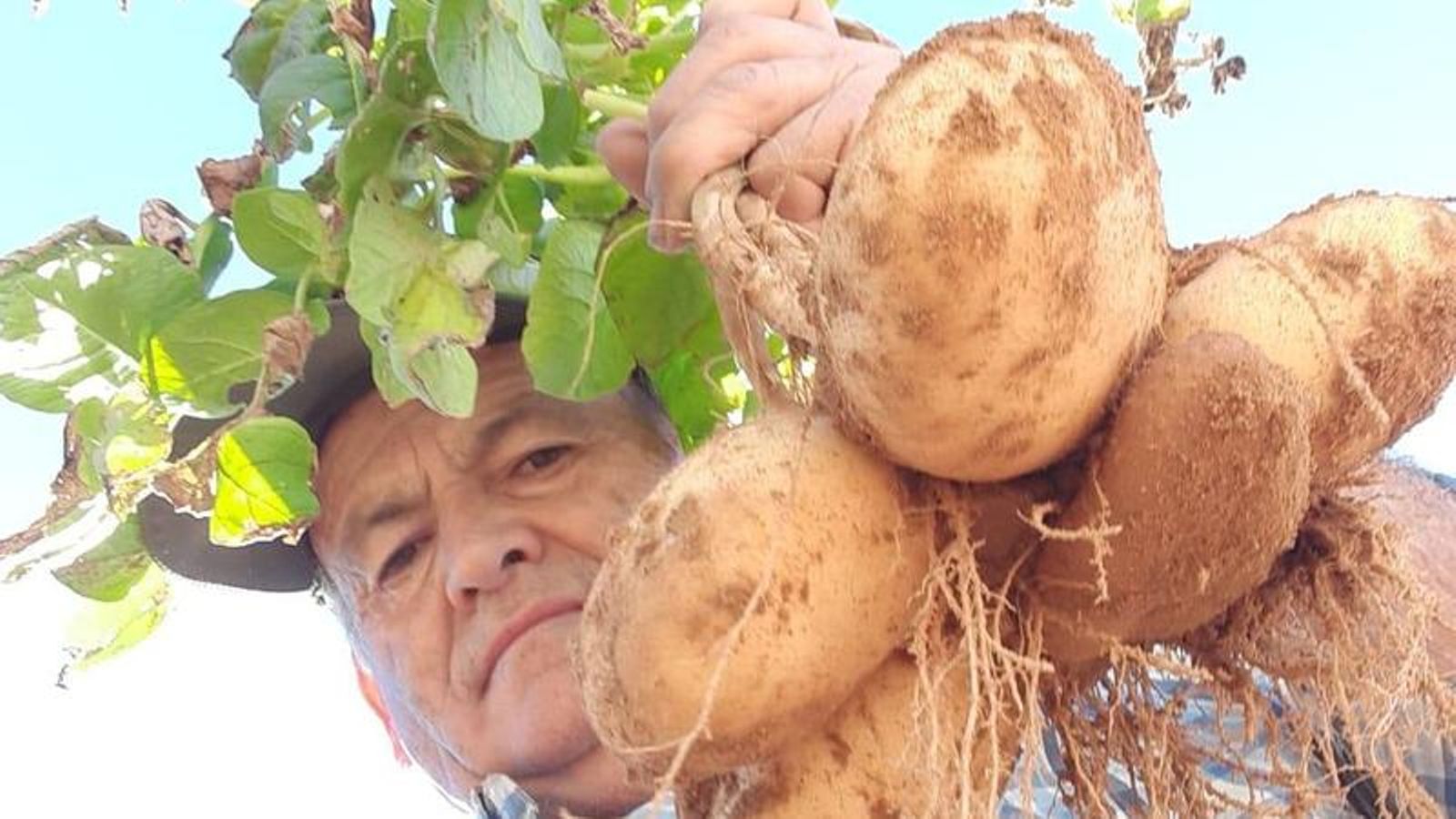 WhatsApp Image 2024 07 03 at 18.05.33