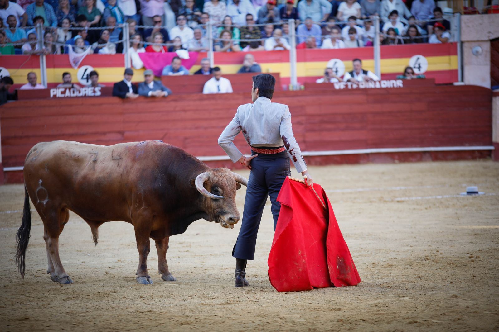 Imágenes del festival mixto lucha contra el cáncer