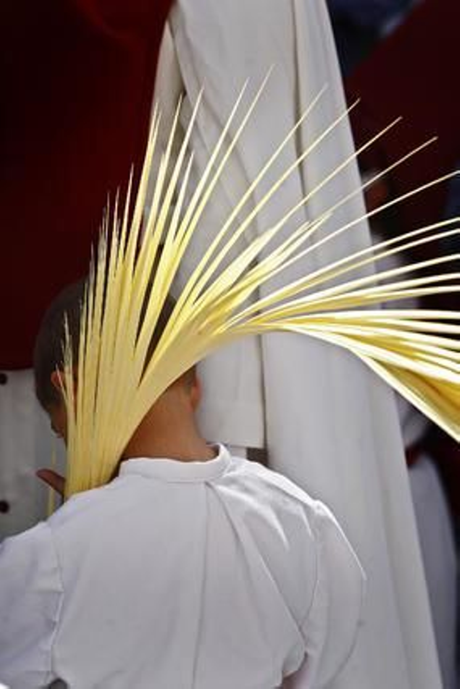 Borriquita

Foto: Joaquín Pino