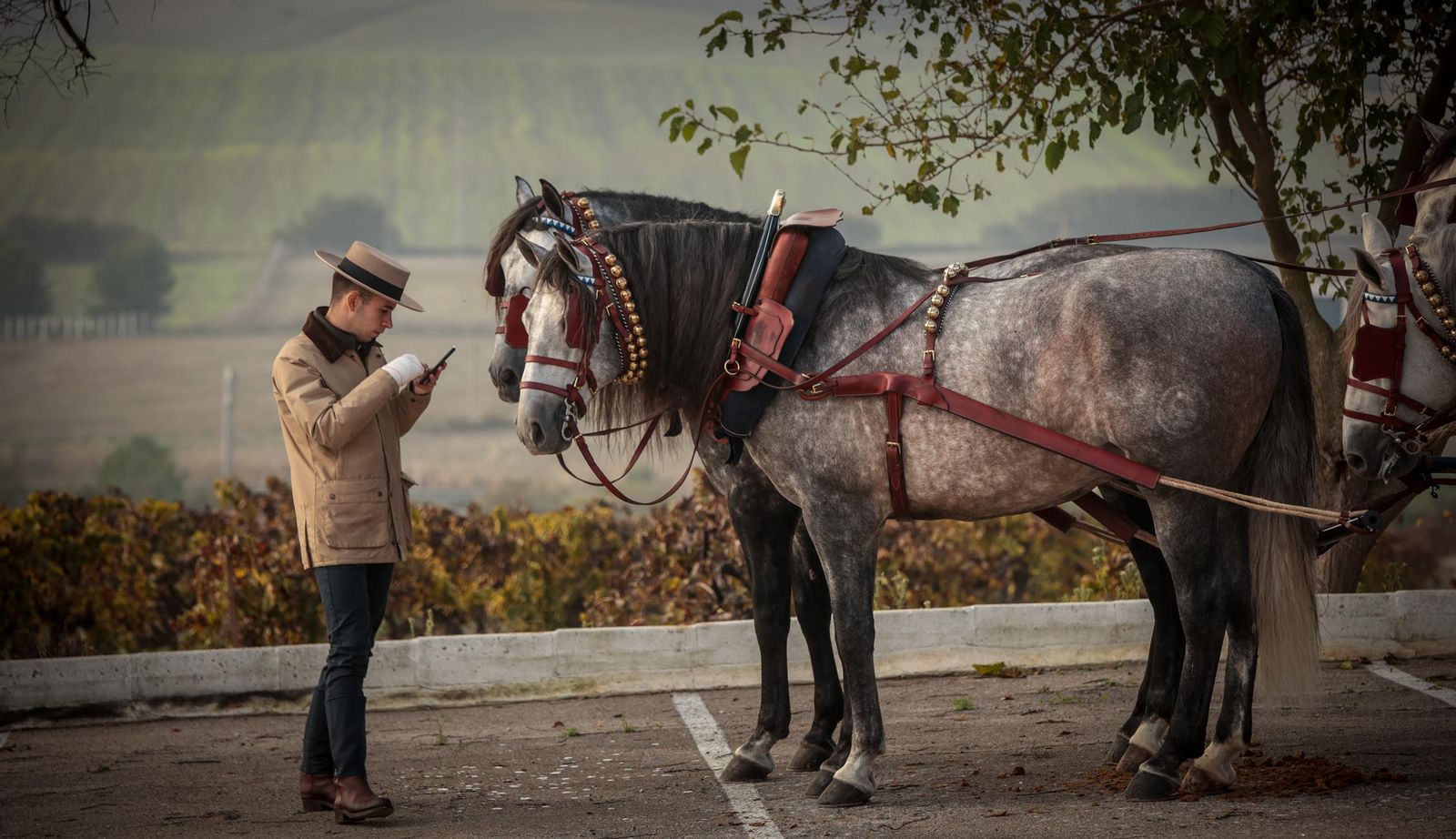 Búscate en la III Ruta Viñas de Jerez de Enganches