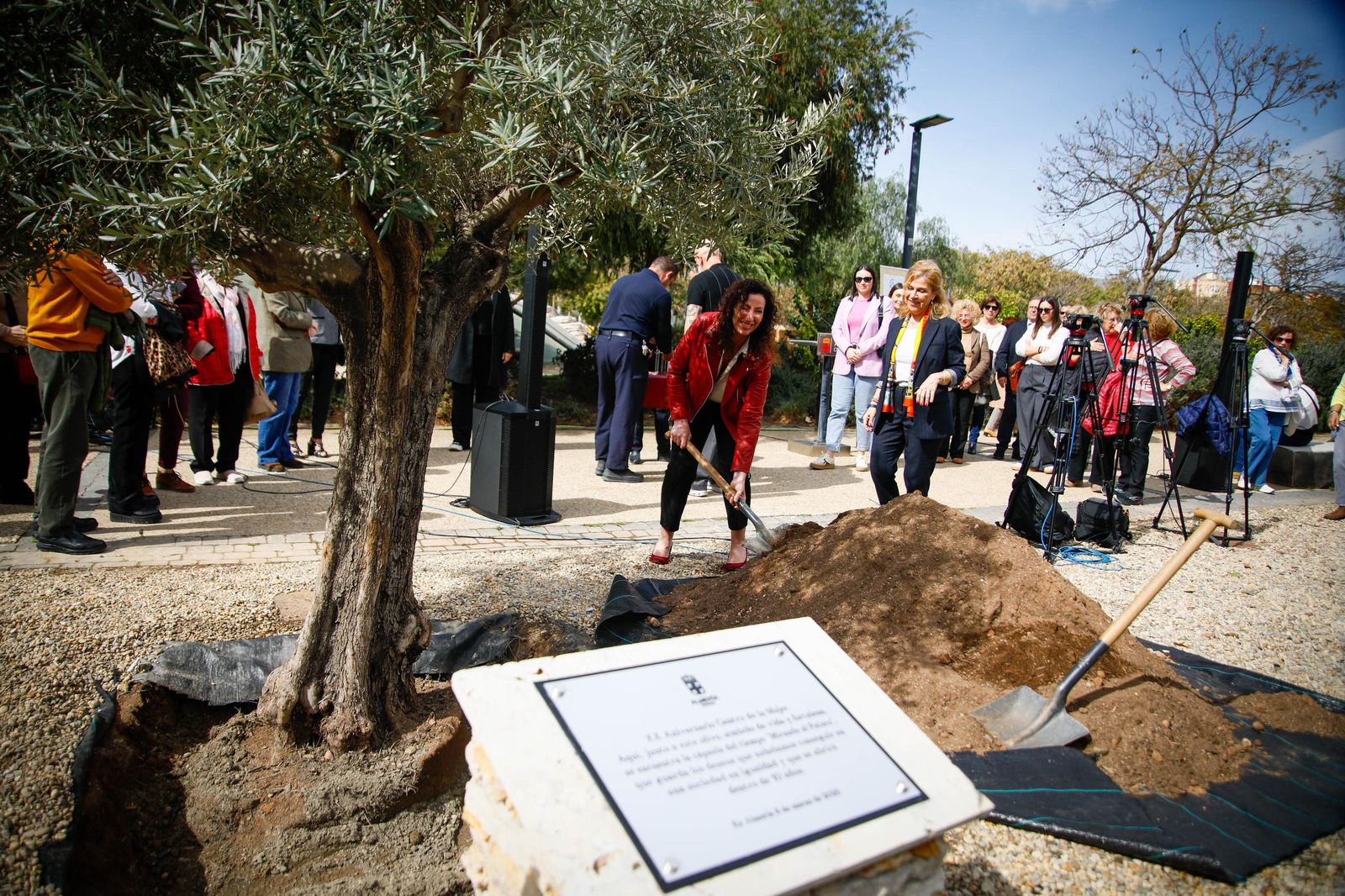Las imágenes de la plantación de un olivo y el entierro de una cápsula del tiempo