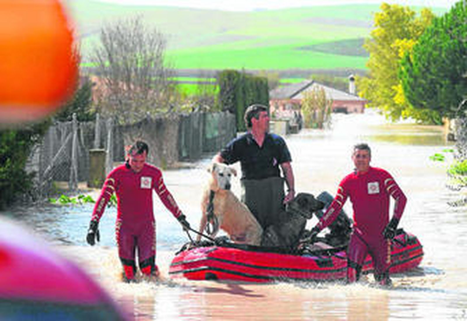 Al menos 216 viviendas desalojadas por la crecida del Guadalquivir