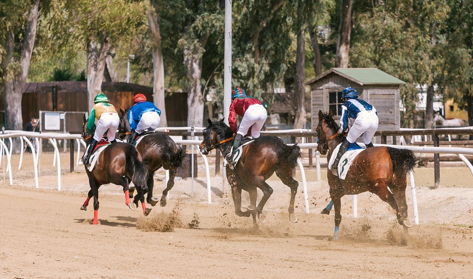 Una imagen de las tradicionales carreras de caballos en el hipódromo de Pineda.